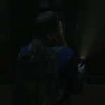 RSBR0203.jpg